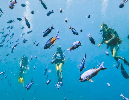 wta_2625_9E579CB6-7565-433C-8081-CAD9E7D03DDF_1_105_c