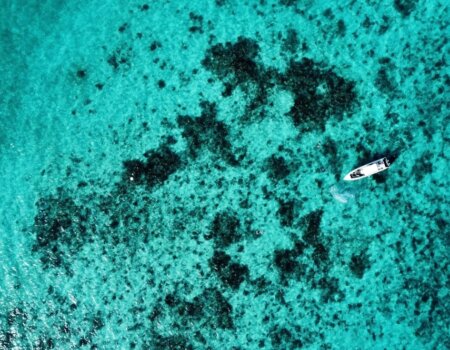 wta_2625_BAE68907-0C1C-4C37-A813-E59973EDA28F_1_105_c