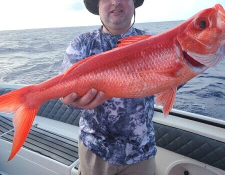 wta_2625_F504BC38-0399-48EC-9FCA-961E28D4D063_1_105_c