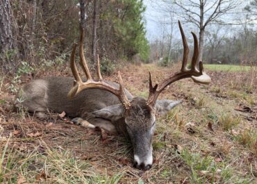 Estate Hunting: A Closer Look at a Misunderstood Hunting Option