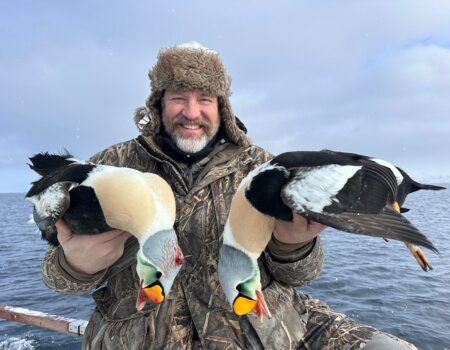 wta_2631_GR n Eiders (4)