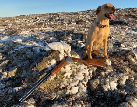 wta_2633_WhatsApp Image 2025-04-06 at 12.49.11 (1)