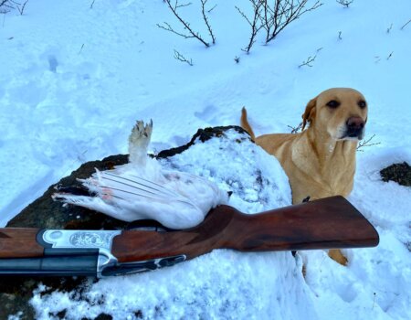 wta_2633_WhatsApp Image 2025-04-06 at 12.52.43