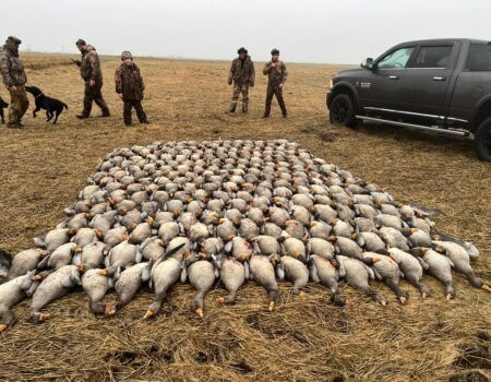 wta_2633_WhatsApp Image 2025-04-06 at 12.54.24 (3)