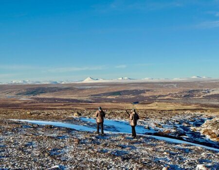 wta_2633_WhatsApp Image 2025-04-06 at 13.01.01 (11)