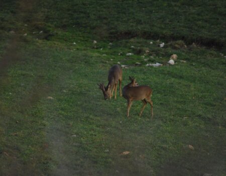 wta_2634_WhatsApp Image 2025-04-29 at 17.36.32