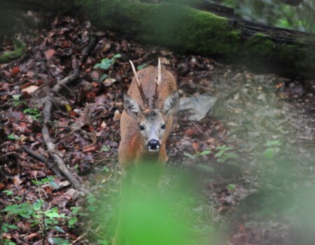 wta_2634_WhatsApp Image 2025-04-29 at 17.36.35 (1)