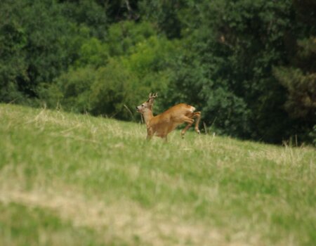 wta_2634_WhatsApp Image 2025-04-29 at 17.36.38