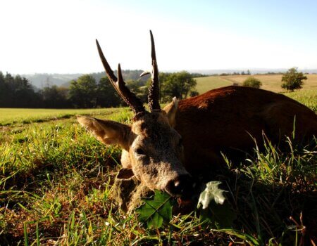 wta_2634_WhatsApp Image 2025-04-29 at 17.37.24 (1)