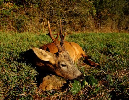 wta_2634_WhatsApp Image 2025-04-29 at 17.37.24 (2)