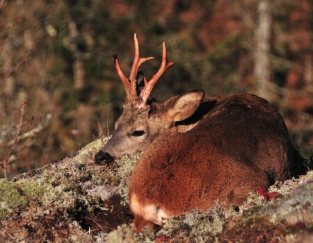 wta_2634_WhatsApp Image 2025-04-29 at 17.37.24 (3)