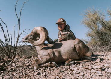For Big Bucks and Majestic Rams, Apply in Arizona