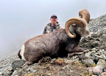 My Stone Sheep Marathon