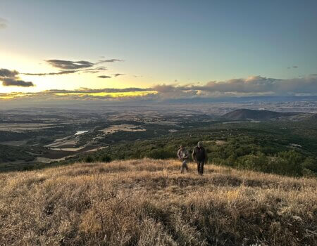 wta_2639_WhatsApp Image 2025-05-14 at 20.18.05 (1)