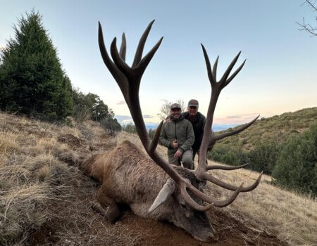 wta_2639_WhatsApp Image 2025-05-14 at 20.18.06