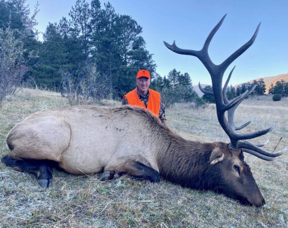 CO Elk Jeff L