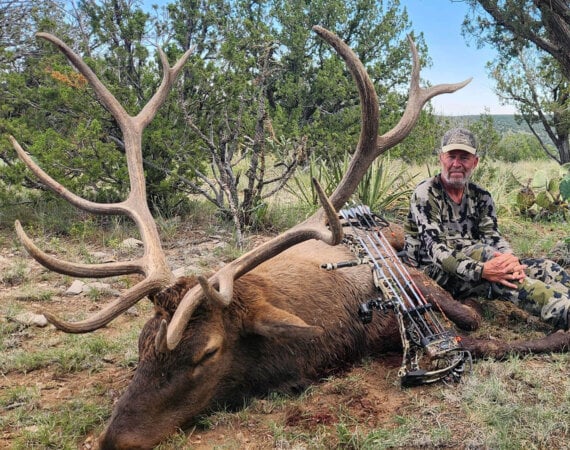 wta_tags_2024_106176 (1)