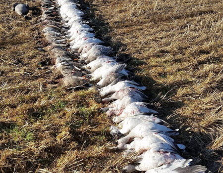 wta_2647_Clearview 4