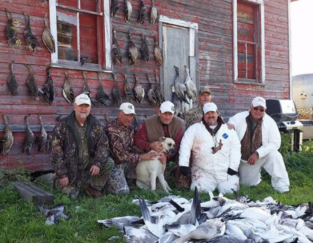 wta_2647_Clearview 5