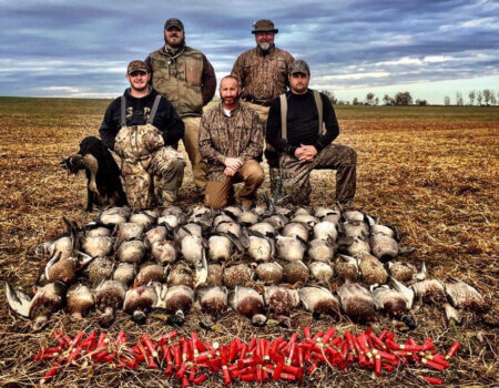 wta_2647_clearview 2