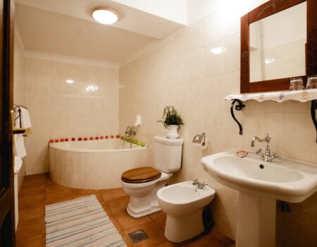 wta_2662_Hotel-Salaš-137-Čenej-Novi-Sad-16