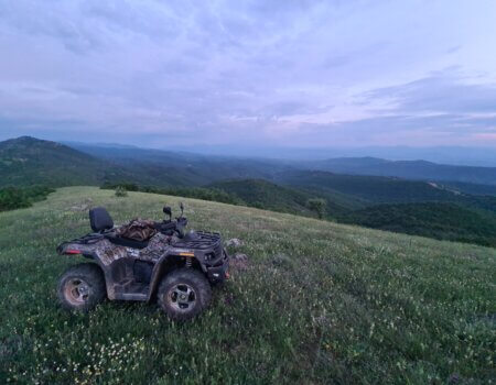 wta_2663_Hunting Area Macedonia Fallow Deer and Roe Deer