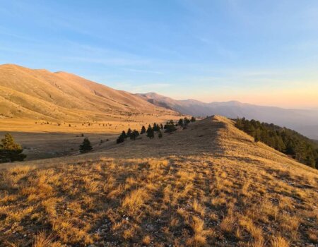 wta_2663_Roe Deer terrain Macedonia 2 (1)