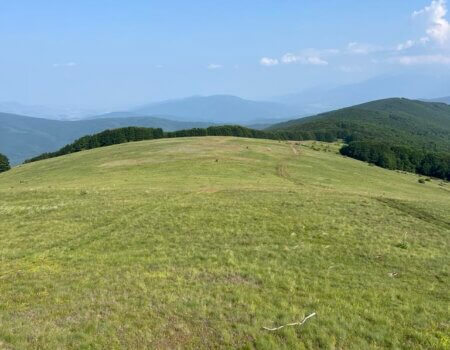 wta_2663_Top of mountain Macedonia roe deer 2