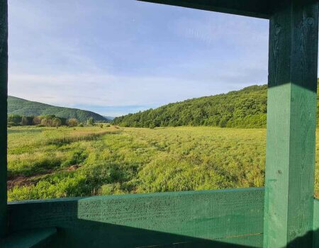 wta_2663_View from high stands in Macedonia 1