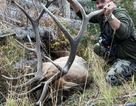 wta_2667_thumbnail_IMG_3036