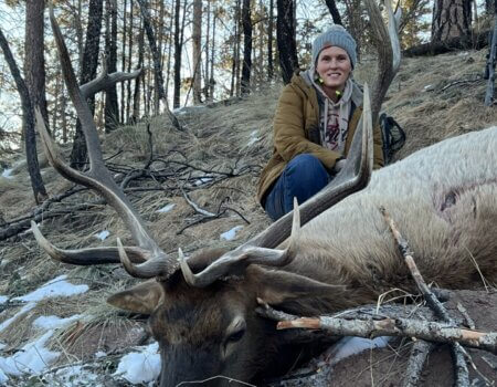 wta_2667_thumbnail_IMG_3287