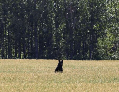 wta_2669_Adrien - IMG-5852