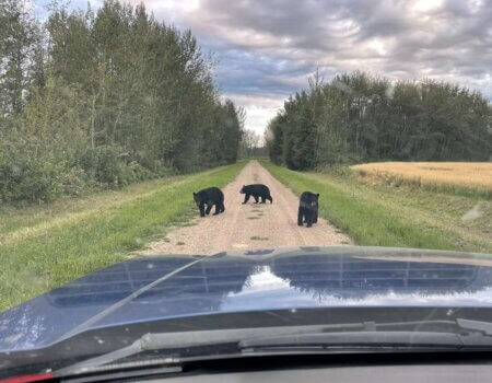 wta_2669_Adrien - IMG-5971