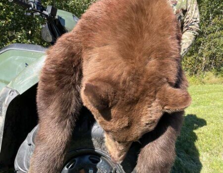 wta_2669_Adrien - IMG-6055