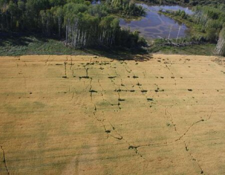 wta_2669_Adrien - bc7f146e6334d1f1fb87bca257eaddd2