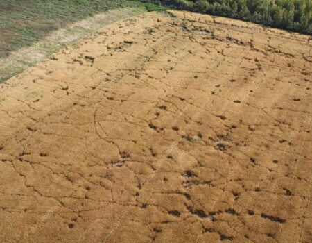 wta_2669_Adrien - ca427f23dd663a5e9726dc0089338159