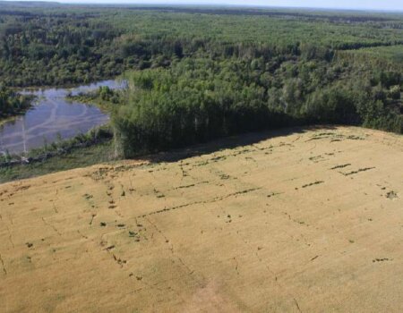 wta_2669_Adrien - d24652b9d718c793eae887d273f2c3fd