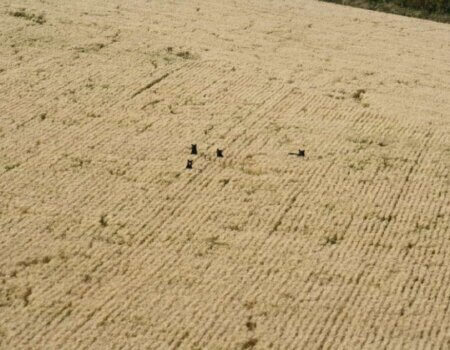 wta_2669_Adrien - eee152ebc0aa684f555e607fb0b5bcf7