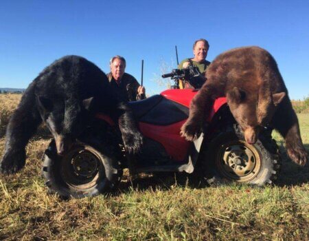 wta_2669_Adrien - f833a8a0758ee3bc839fa5ca13312d61