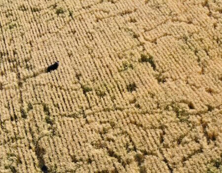 wta_2669_Adrien - f8721707231448ea8c43119b34fdd384