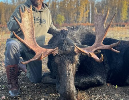 wta_2671_2025 bull 3