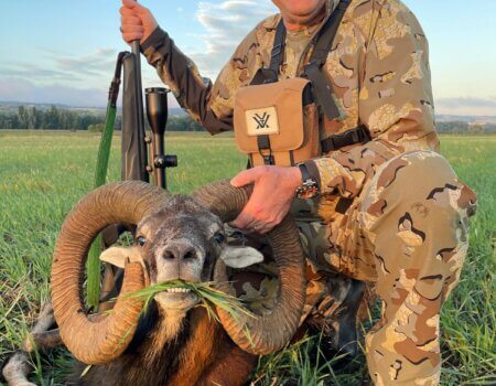 wta_2675_251242a7-8128-45aa-88b5-8006e584639a