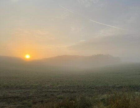 wta_2677_3661e9ff-b91e-4f8f-b41a-57b09910d50d