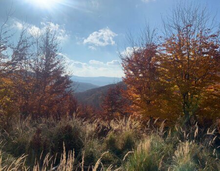 wta_2677_4e186d10-616f-477e-9d6c-ba7fa256b9e2