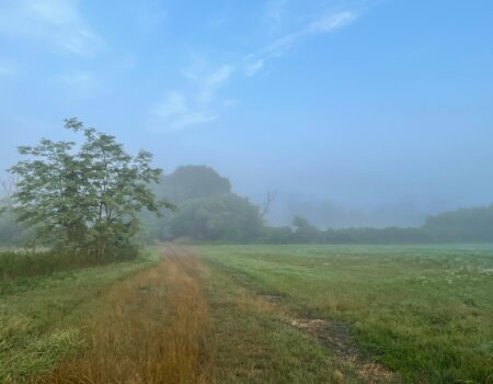 wta_2677_e9972bff-d7cc-4352-8a43-fe1abc55ac65