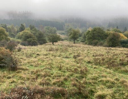 wta_2677_f560e9c6-dffe-4c00-ba5b-16ed35524678