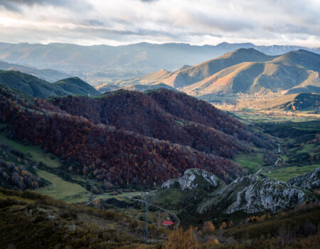 wta_2679_2023.11.14.085511-Picos-PAC07040-EDIT