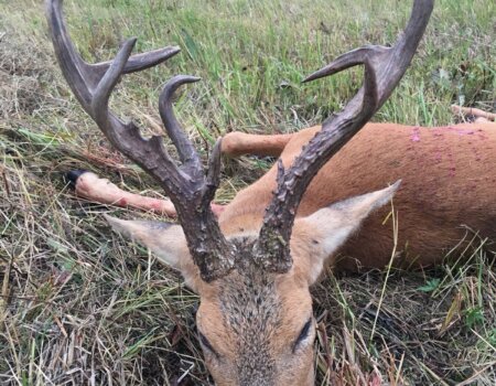 wta_2680_IMG-20180830-WA0009