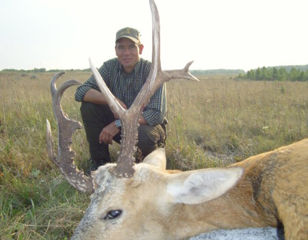 SAMSUNG DIGITAL CAMERA