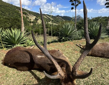 wta_2681_20230708_083335614_iOS